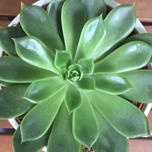 Meet your Posher, Matija